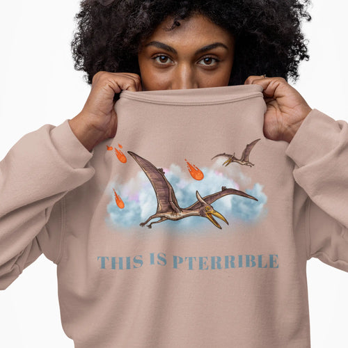 Woman holding up a crewneck sweatshirt featuring a pterodactyl and meteors with the phrase “This Is Pterrible”